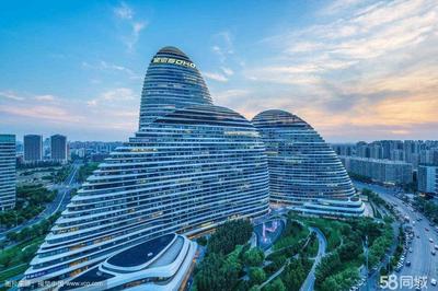 北京梧桐树下信息科技